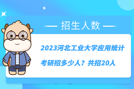 2023河北工業(yè)大學(xué)應(yīng)用統(tǒng)計考研招多少人？共招20人